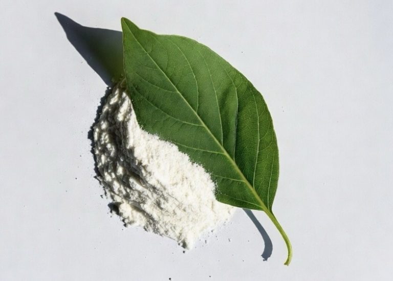 Are You Eating Wood? The Real Story Behind Cellulose in Food