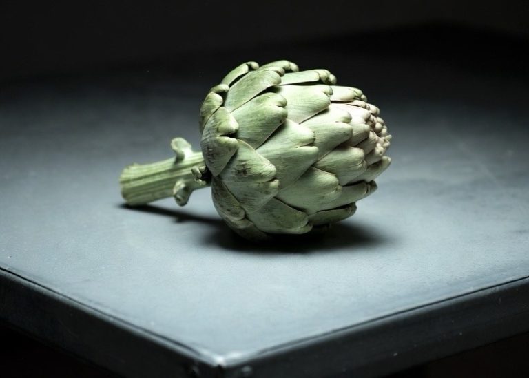 Project Artichoke